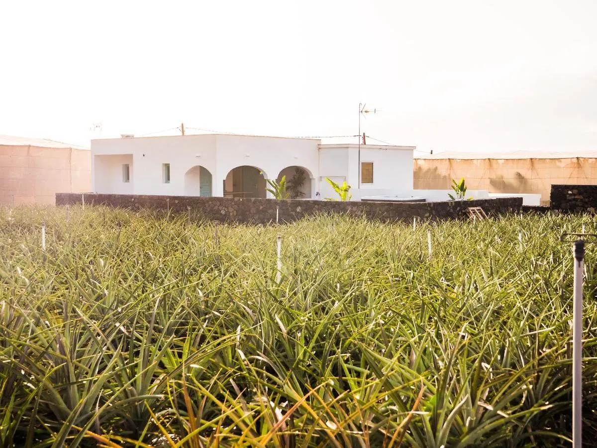 Villa Casa El Matorral La La Frontera